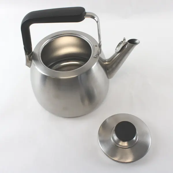 Sur La Table 3L Stainless Steel Tea Kettle