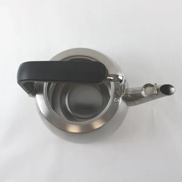 Sur La Table 3L Stainless Steel Tea Kettle