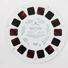 1999 View-Master Products 35588-9069 Promo Reel
