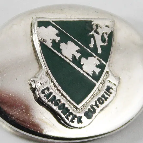 Cargoneek Guyoxim 147th Regiment Green Enamel Silver-Tone Clip
