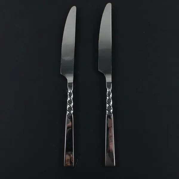 Lot of 2 Unknown Brand Stainless Dinner Knives Partial Twisted Handles 9.5"