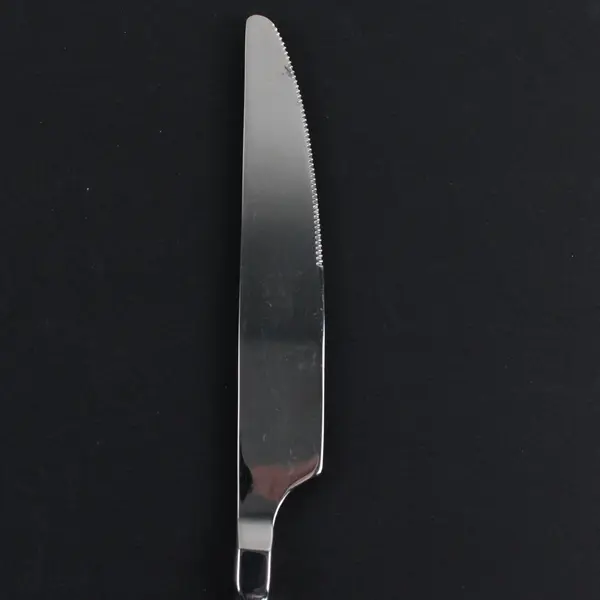 Lot of 2 Unknown Brand Stainless Dinner Knives Partial Twisted Handles 9.5"