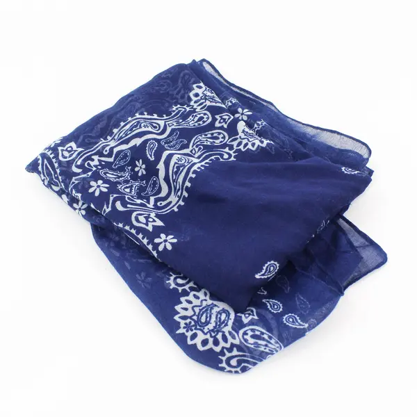 Blue and White Sheer Paisley Print Women's Wrap Neck Scarf