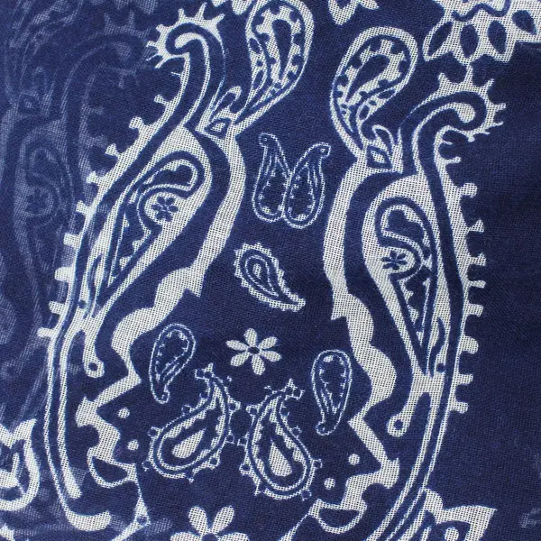 Blue and White Sheer Paisley Print Women's Wrap Neck Scarf