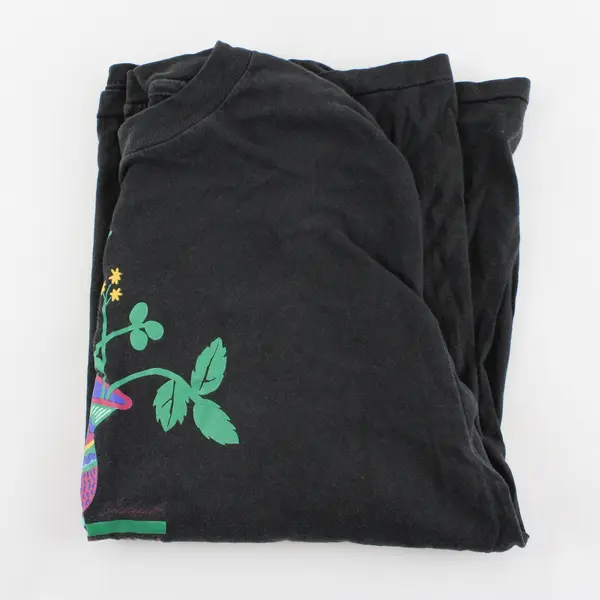 VTG Hanes Salem Art Fair & Festival 1995 Black Single Stitch T-Shirt XL 46-48