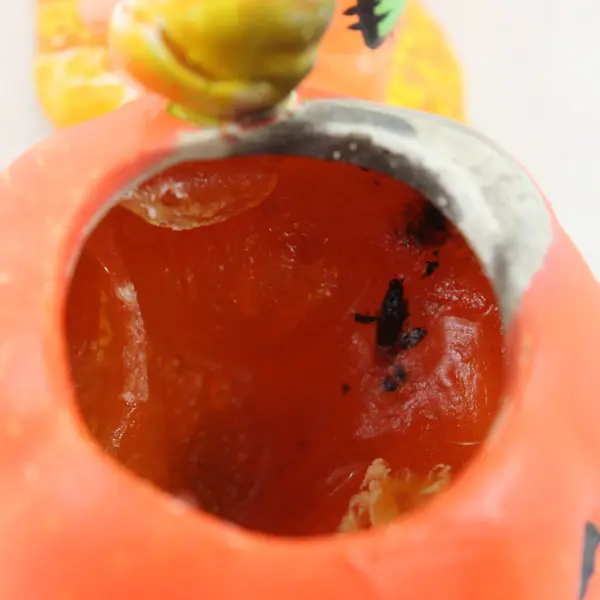 Scarecrow Pumpkin Ceramic Hand Painted Tealight Candle Holder Fall Home Decor