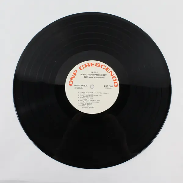 The Mom And Dads In The Blue Canadian Rockies, 12" Vinyl Record