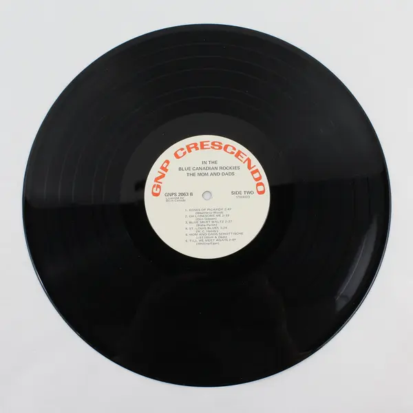 The Mom And Dads In The Blue Canadian Rockies, 12" Vinyl Record