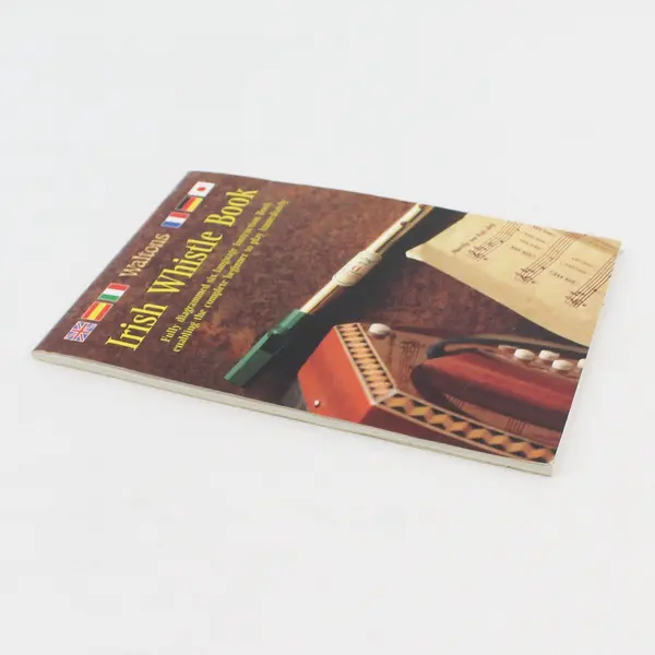 Vintage Walton's Irish Whistle Book 2001 Paperback Fully Diagrammed Instructions