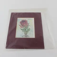 Carol Deetch Original Watercolor Protea Eximia Duchess Burgundy Matted