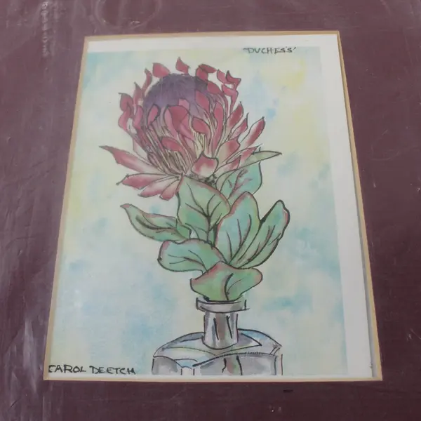Carol Deetch Original Watercolor Protea Eximia Duchess Burgundy Matted