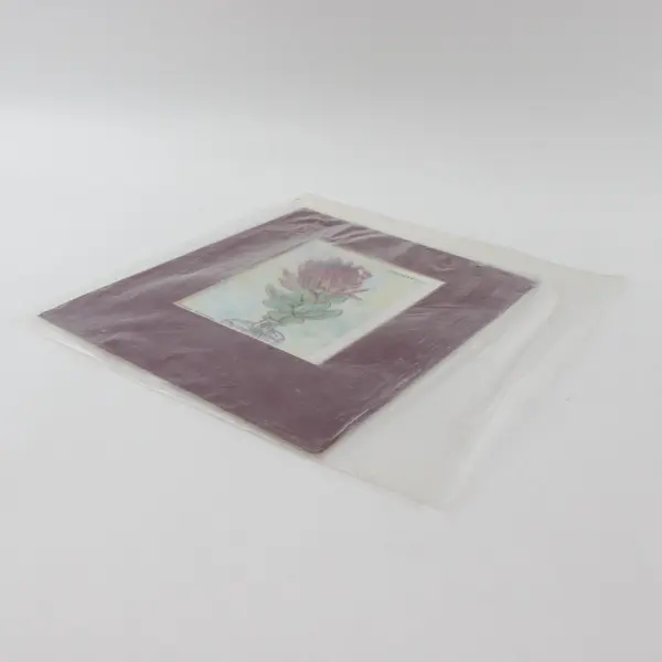 Carol Deetch Original Watercolor Protea Eximia Duchess Burgundy Matted
