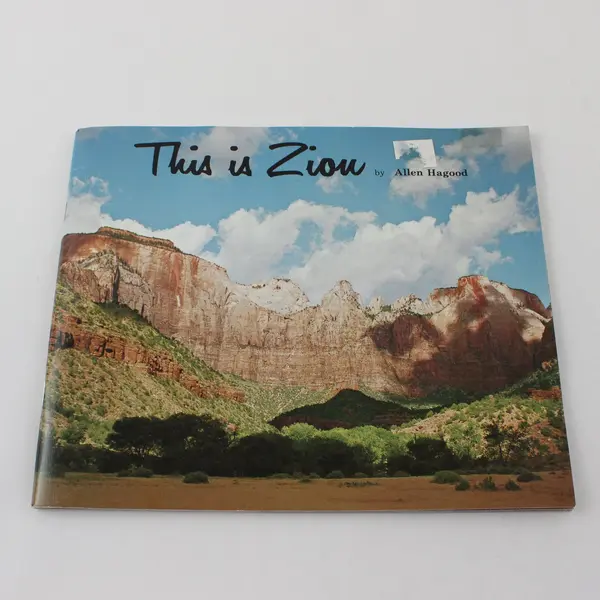 This Is Zion by Allen Hagood Vintage Softcover Book