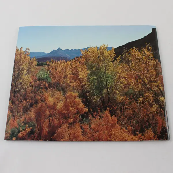 This Is Zion by Allen Hagood Vintage Softcover Book