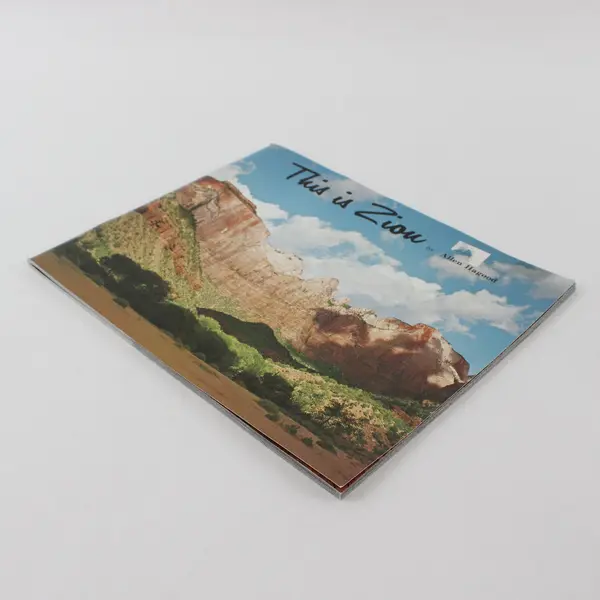 This Is Zion by Allen Hagood Vintage Softcover Book