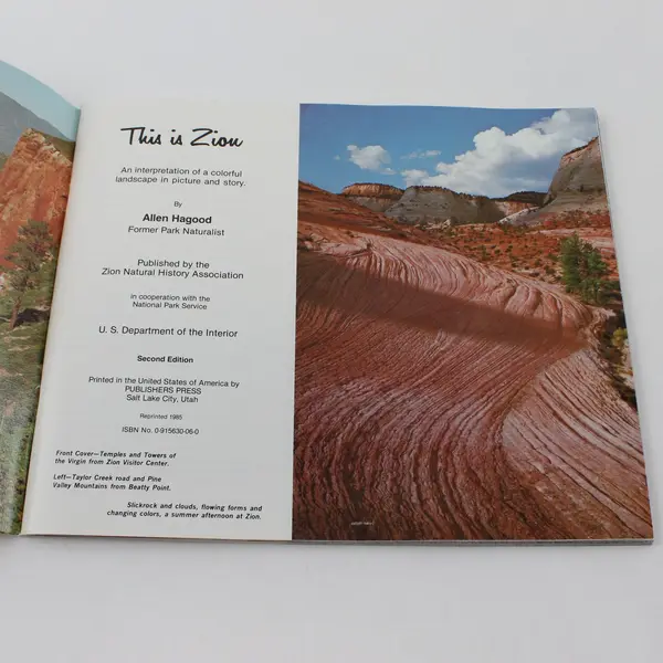 This Is Zion by Allen Hagood Vintage Softcover Book