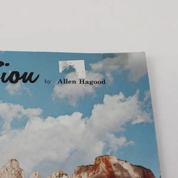 This Is Zion by Allen Hagood Vintage Softcover Book