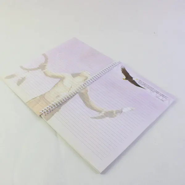 Native Reflections Blank Lined Spiral Journal Native American Tribal Theme