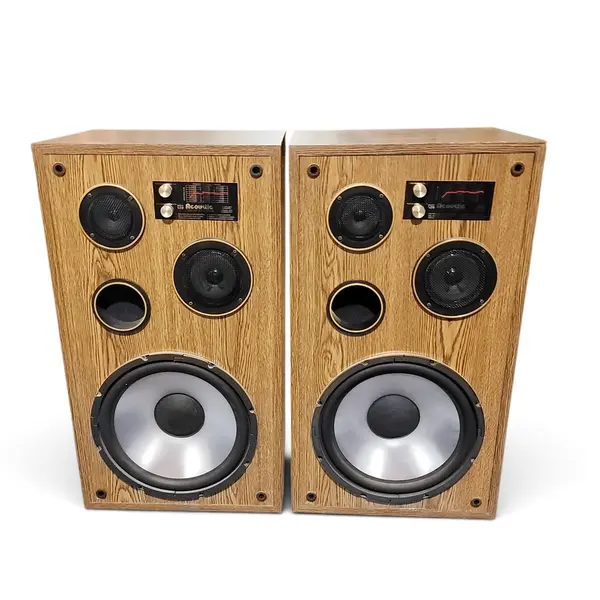 Vintage Acoustic Linear Systems Model 520  Speakers Set Liquid Cooled