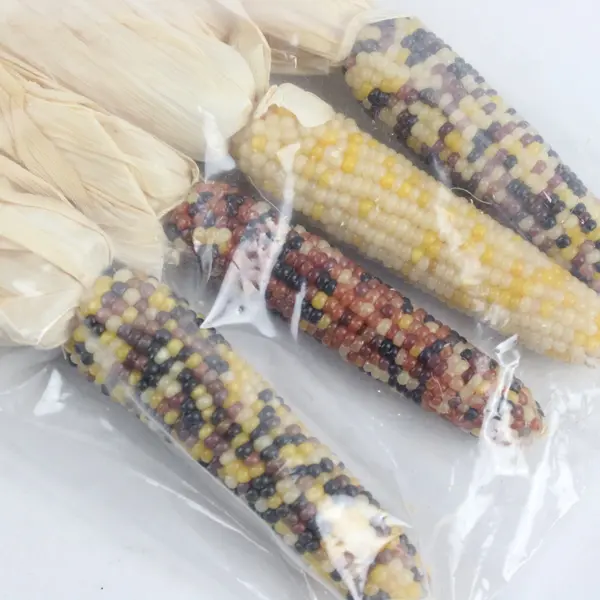 Lot of 3 Fall Harvest Decor Display, Mini Corn, Foliage, Turkey Stickers 