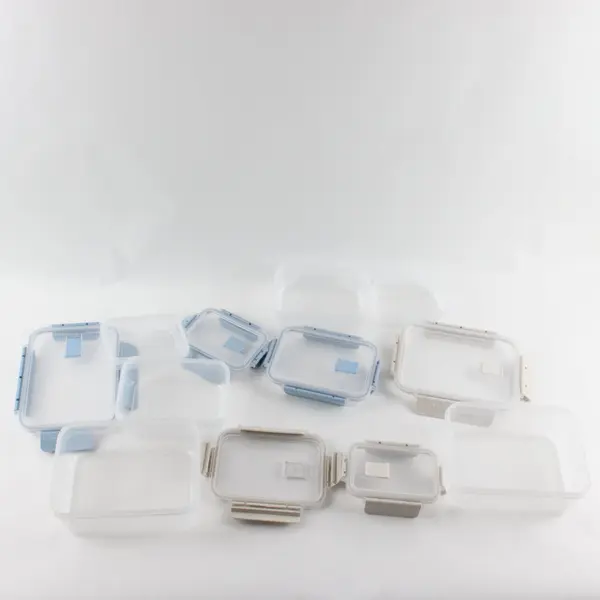Set of 6 Translucent Plastic Food Storage Containers