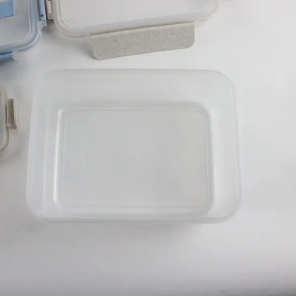 Set of 6 Translucent Plastic Food Storage Containers