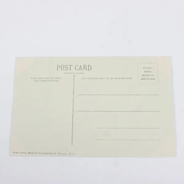 Vintage Some British Columbia Animals Provincial Museum Victoria Postcard