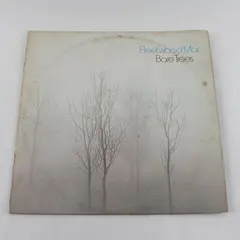 Fleetwood Mac Bare Trees 12" Vinyl Record
