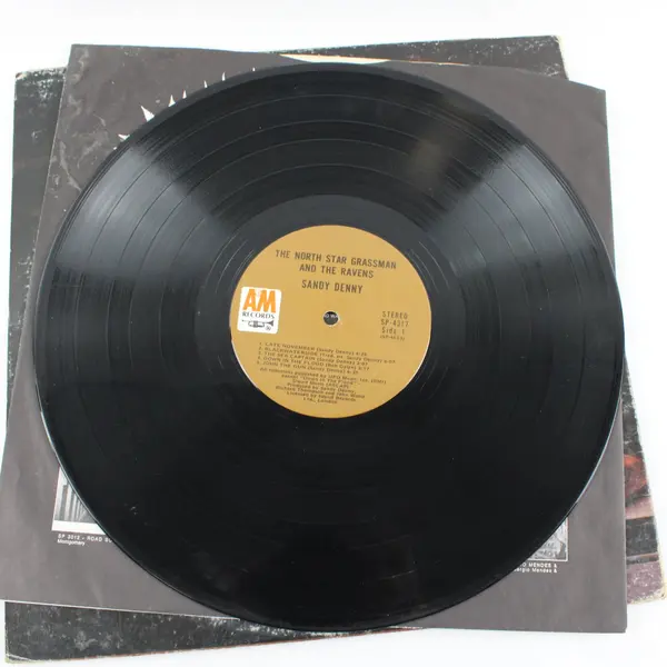 Sandy Denny The North Star Grassman And The Ravens 12" Vinyl Record