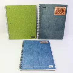 Lot of 3 Spiral Notebooks Graph College Ruled Lined Jean Book