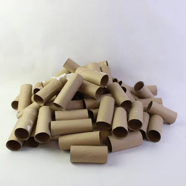 Lot of 64 Empty Toilet Paper Rolls DIY Craft Supplies