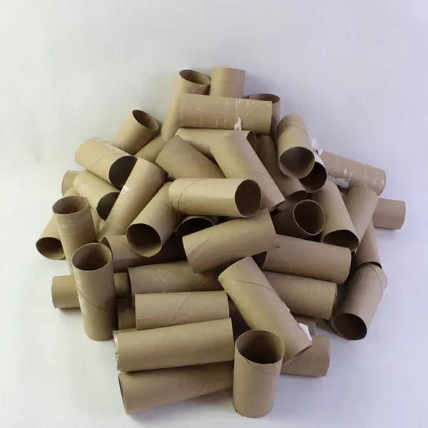 Lot of 64 Empty Toilet Paper Rolls DIY Craft Supplies