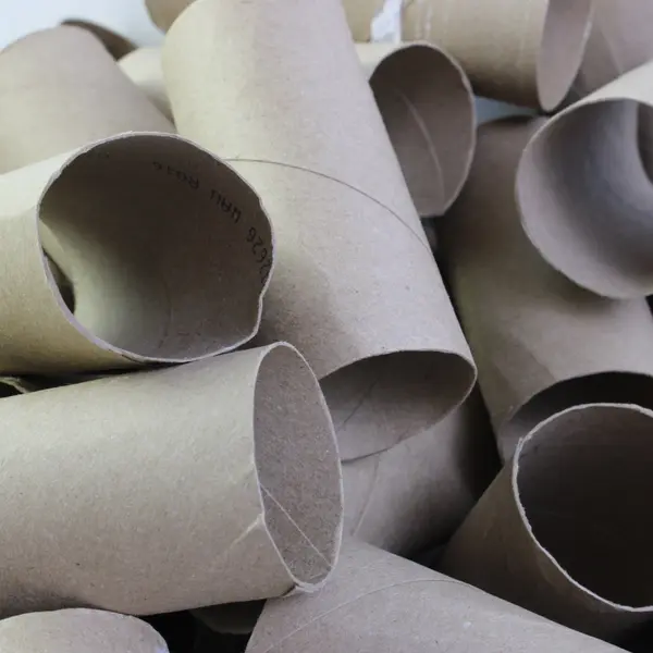Lot of 64 Empty Toilet Paper Rolls DIY Craft Supplies