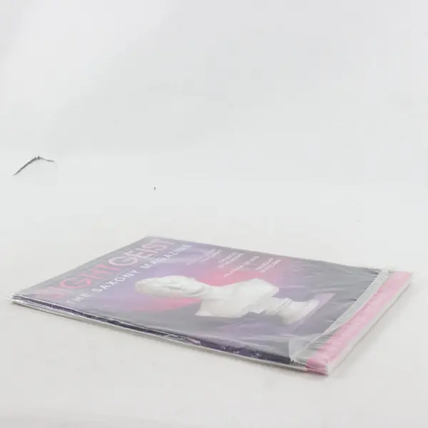Sightgeist The Saxony Magazine No. 6 2014 - 2015 News Events Stories New Sealed