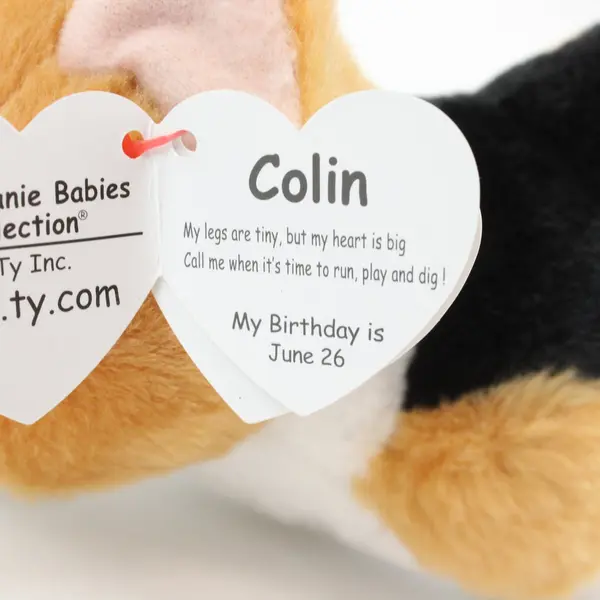 Ty Beanie Baby Colin Corgi Plush 6 in Velvety Stuffed Animal Retired