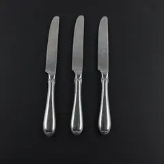 Lot of 3 Wallace Silver Summerset Pattern 18/8 Stainless Dinner Knives 9.5"