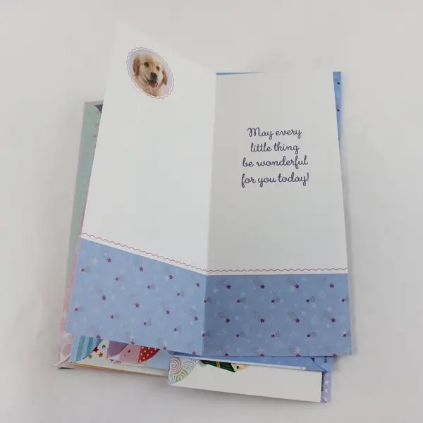 Lot of 25 Cute Colorful Birthday Cards with Envelopes