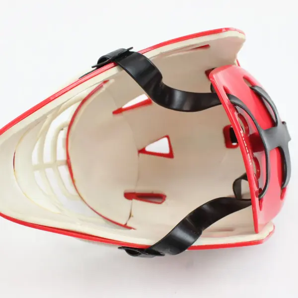 Riddell Detroit Red Wings NHL Mini Goalie Mask Helmet Collectible