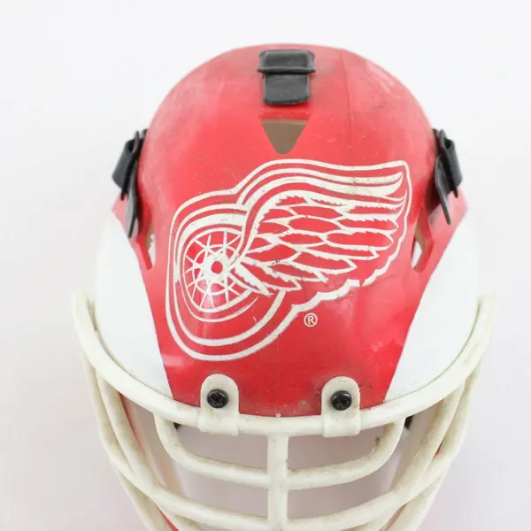 Riddell Detroit Red Wings NHL Mini Goalie Mask Helmet Collectible