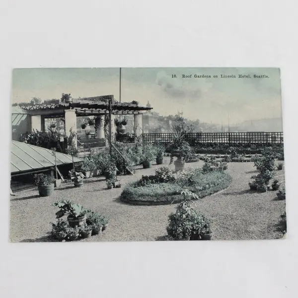Vintage Roof Gardens On Lincoln Hotel Seattle Washington Litho Postcard
