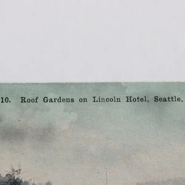 Vintage Roof Gardens On Lincoln Hotel Seattle Washington Litho Postcard