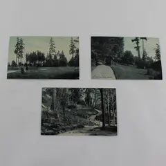 Lot Of 3 VTG Seattle Washington Park Litho Postcards Woodland Kinnear Madrona 