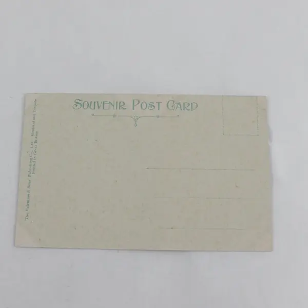 Vintage Roman Catholic Cathedral Victoria British Columbia Canada Litho Postcard