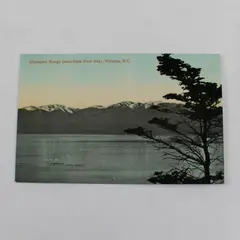 Olympian Range Seen From Foul Bay Victoria British Columbia Litho Postcard