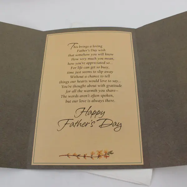 Hallmark Expressions Heartfelt Father's Day Jumbo Card