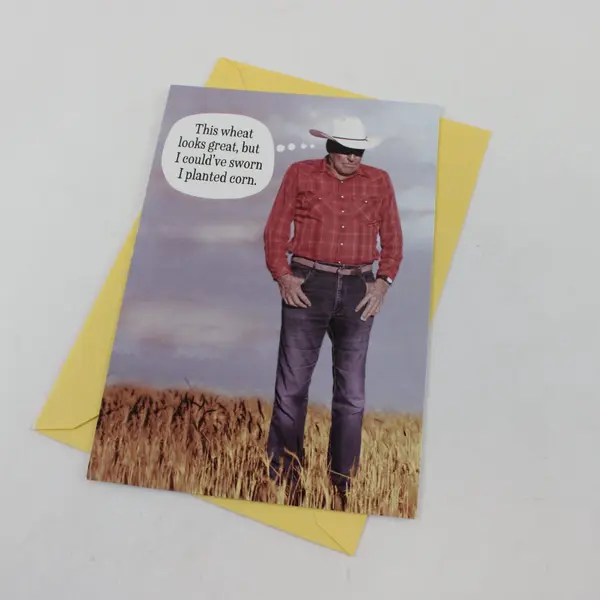 Lot of 3 Hallmark Funny Birthday Cards with Envelopes UNUSED