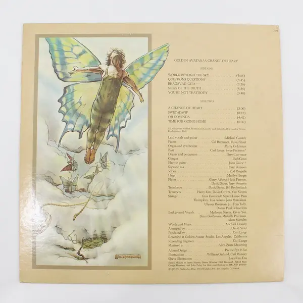 Golden Avatar, A Change Of Heart 12" Vinyl Record