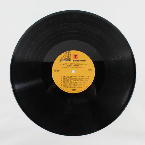 Nancy's Greatest Hits 12" Vinyl Record
