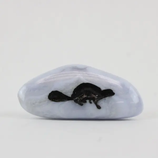 Gray Agate Tumbled Palm Stone Polished Crystal Specimen Platypus 