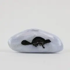 Gray Agate Tumbled Palm Stone Polished Crystal Specimen Platypus 